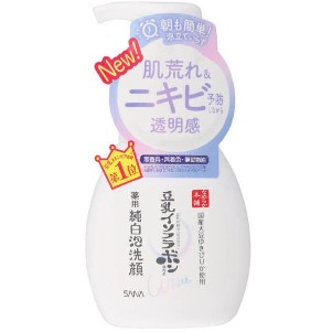 SANA莎娜豆乳祛痘滋潤透明感泡沫洗面奶 200ml